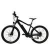 CE Approved 250w Chinese Electric Mountain Bike 