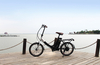 Cheap Small Folding Electric Bike for Sale