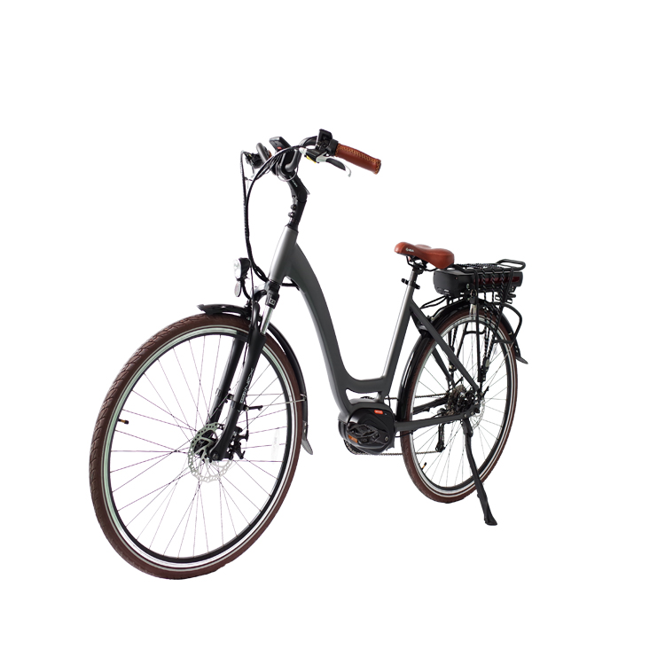 250w Motor Mid Drive City Electric Bike with CE