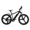 China Factory Mountain Electric Bike 250w 36v Lithium Battery for Adults