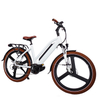 36v Battery Mid Drive Electric Bicycle Made in China